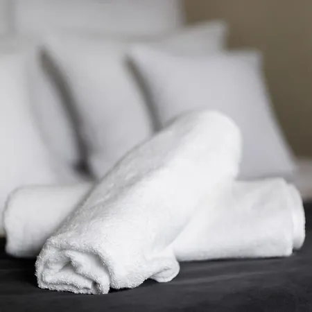 Premium By Wawel Castle דירה *